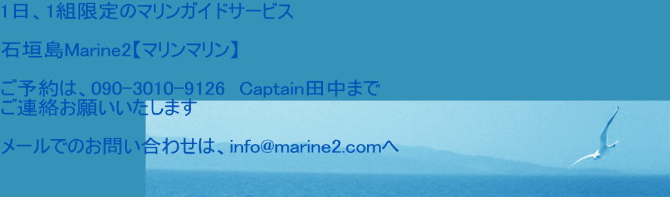 1日、1組限定のマリンガイドサービス  石垣島Marine2【マリンマリン】  ご予約は、090-3010-9126　Captain田中まで ご連絡お願いいたします  メールでのお問い合わせは、info@marine2.comへ 