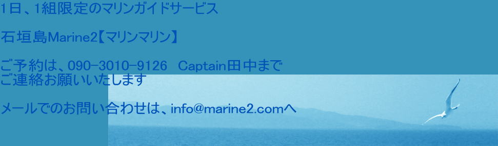 1A1g̃}KChT[rX  Ί_Marine2y}}z  \́A090-3010-9126@Captainc܂ A肢܂  [ł̂₢킹́Ainfo@marine2.com 